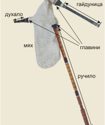 Traditional Bulgarian bagpipe like those played by the 333 record-setting musicians