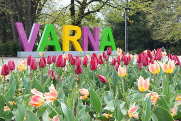 varna-featured