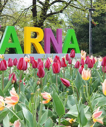 varna-featured