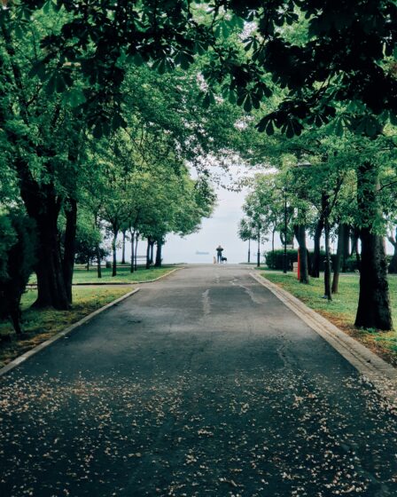 burgas-5-featured