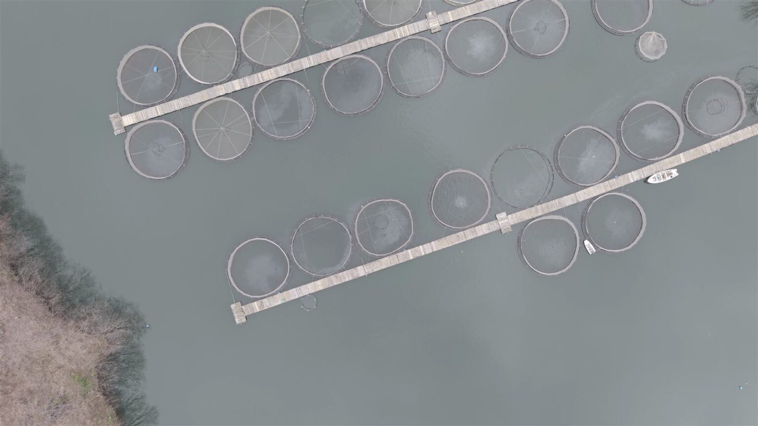 Aerial view of circular fish farms on the reservoir near Krichim