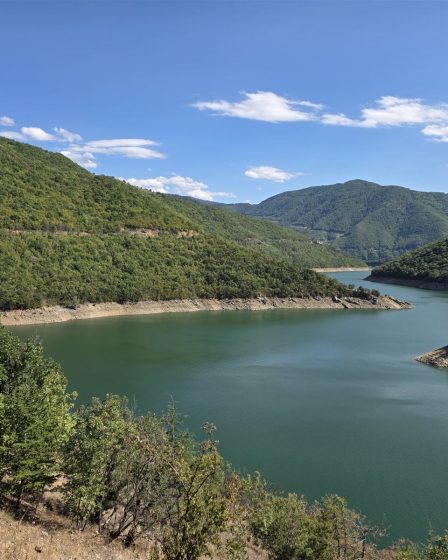Panoramic summer view of Vacha Reservoir and the Rhodopes