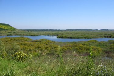The lake and wetlands of Srebarna Nature Reserve