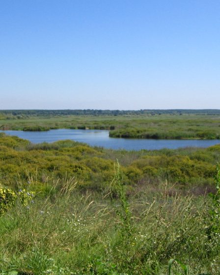 The lake and wetlands of Srebarna Nature Reserve