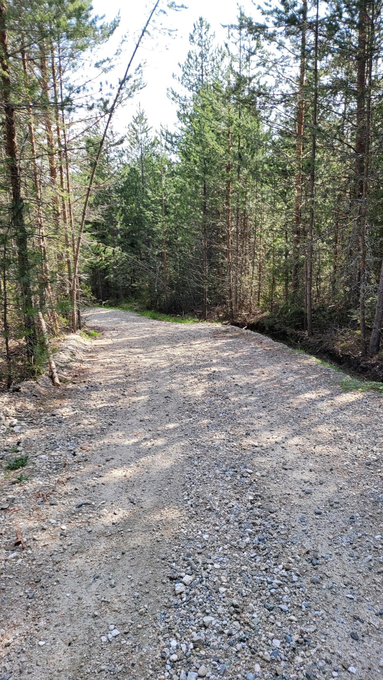 Bansko Without the Skiing or the Spa?! A Guide to Getting Properly Lost in the Mountains