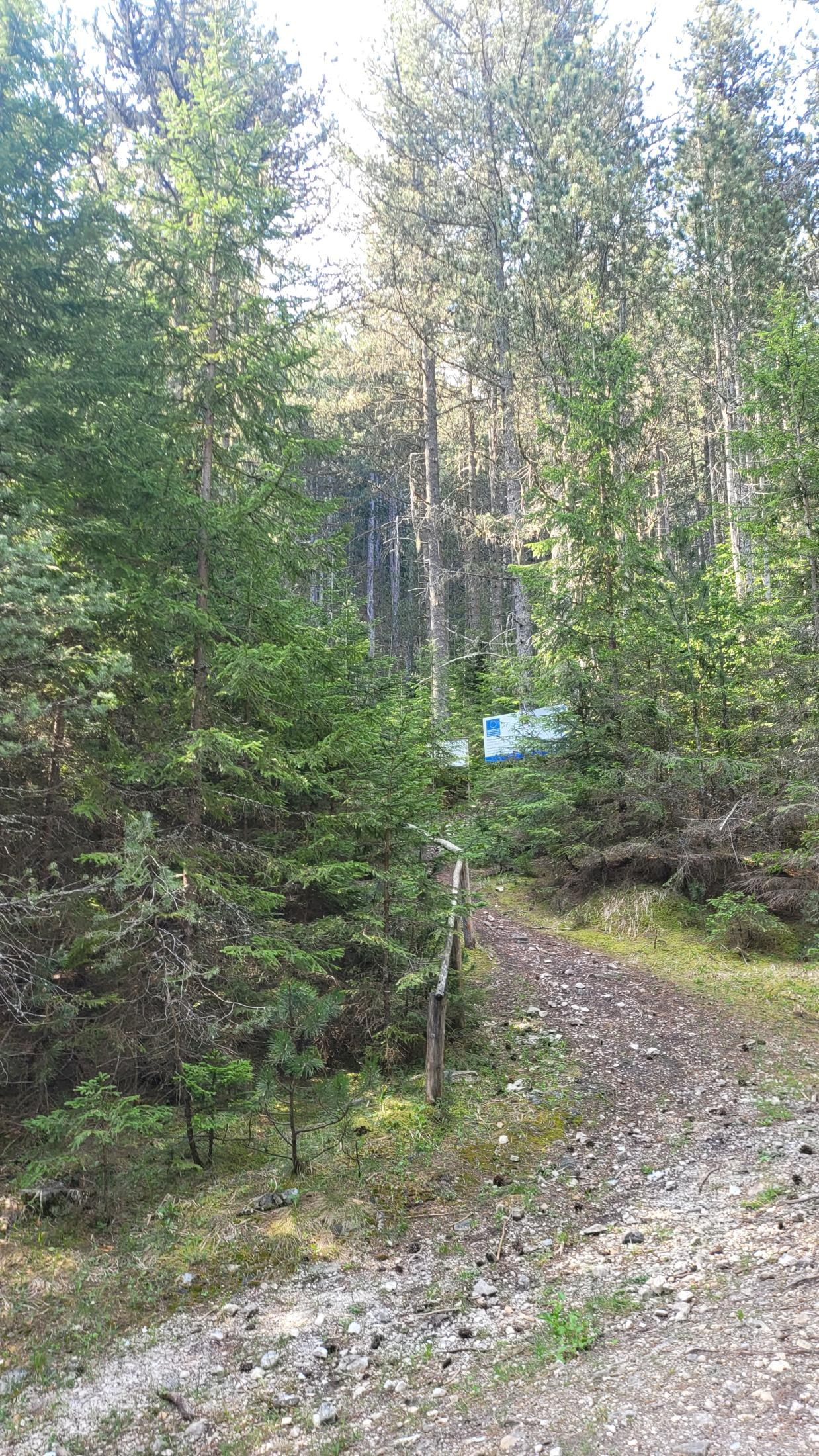 Bansko Without the Skiing or the Spa?! A Guide to Getting Properly Lost in the Mountains