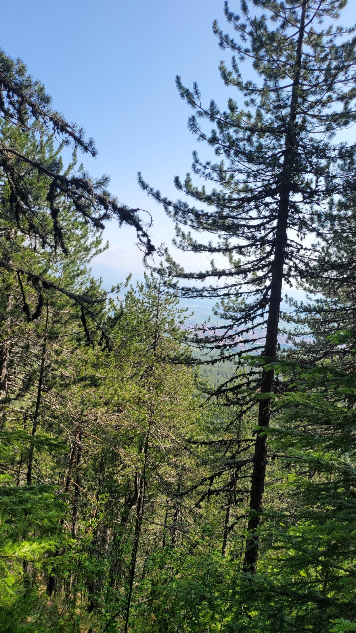 Bansko Without the Skiing or the Spa?! A Guide to Getting Properly Lost in the Mountains