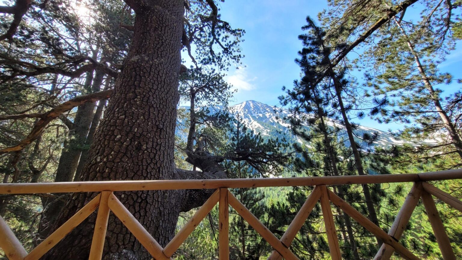 Bansko Without the Skiing or the Spa?! A Guide to Getting Properly Lost in the Mountains