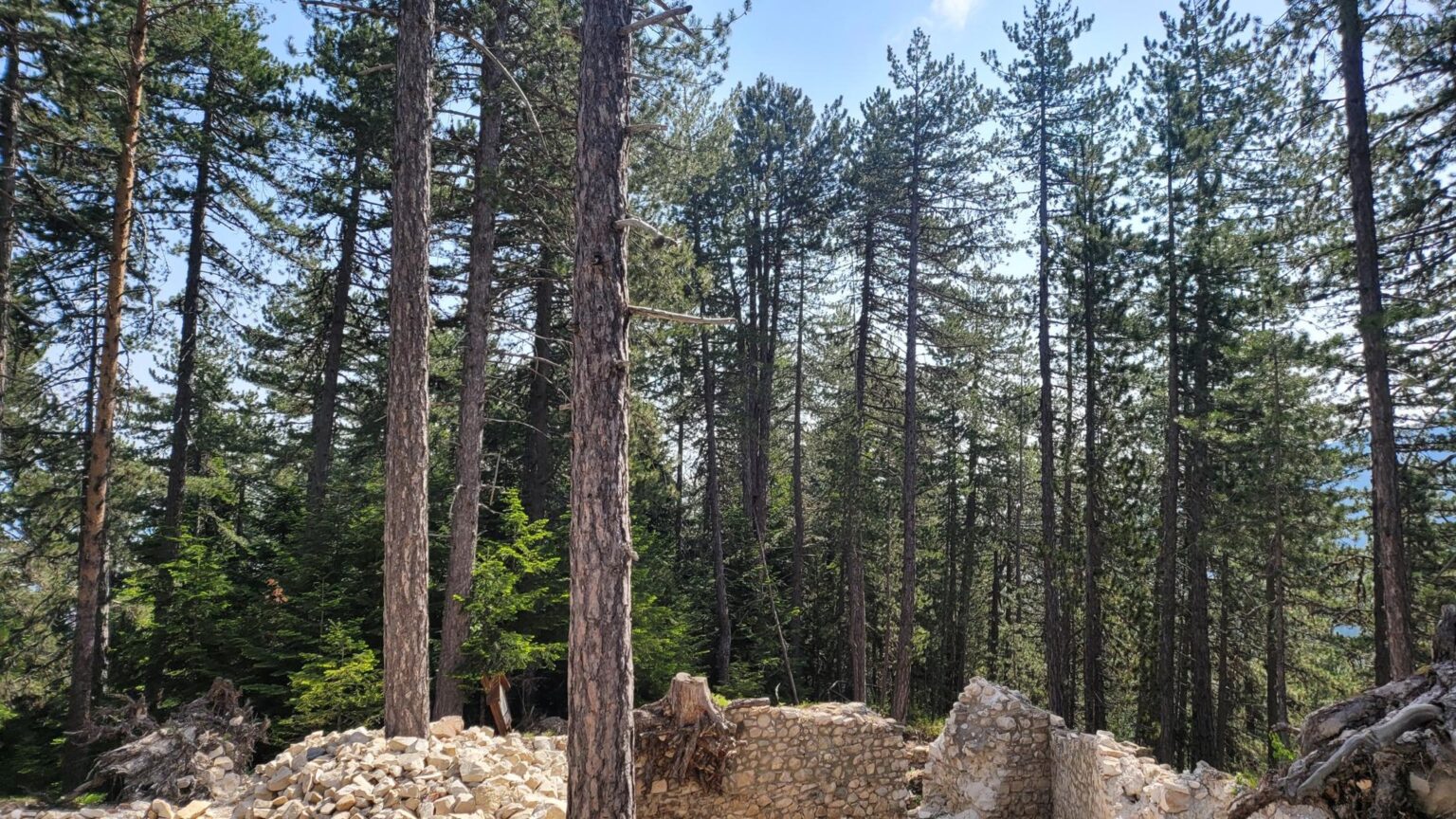 Bansko Without the Skiing or the Spa?! A Guide to Getting Properly Lost in the Mountains