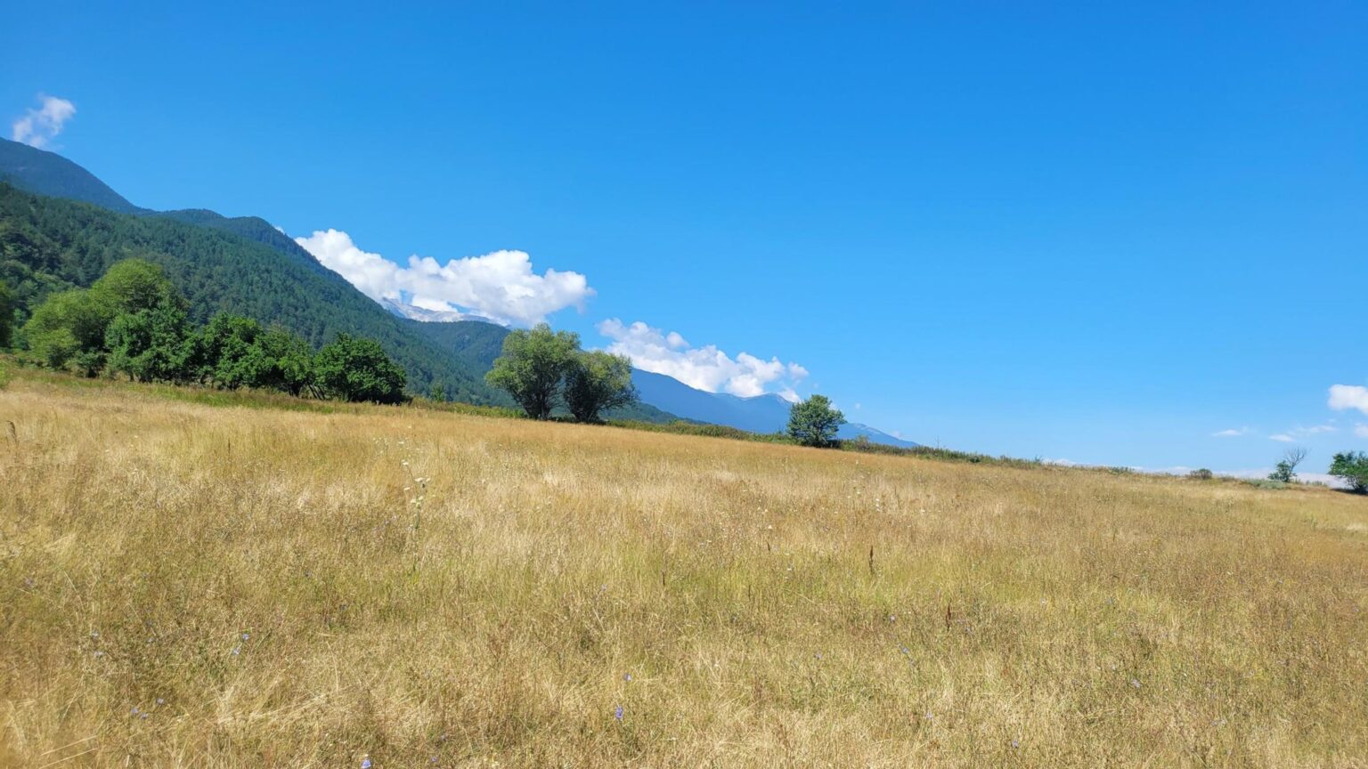 Bansko Without the Skiing or the Spa?! A Guide to Getting Properly Lost in the Mountains