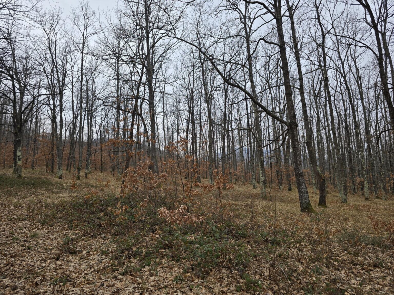 From Sofia to Bozhenishki Urvich: History, Nature and a Bit of Sweat