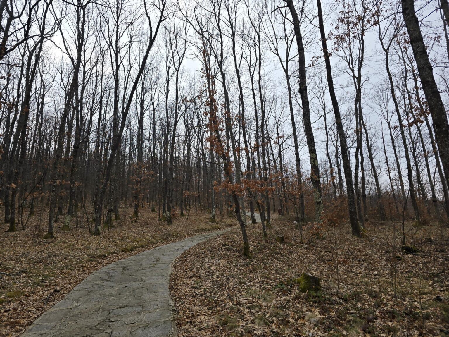From Sofia to Bozhenishki Urvich: History, Nature and a Bit of Sweat