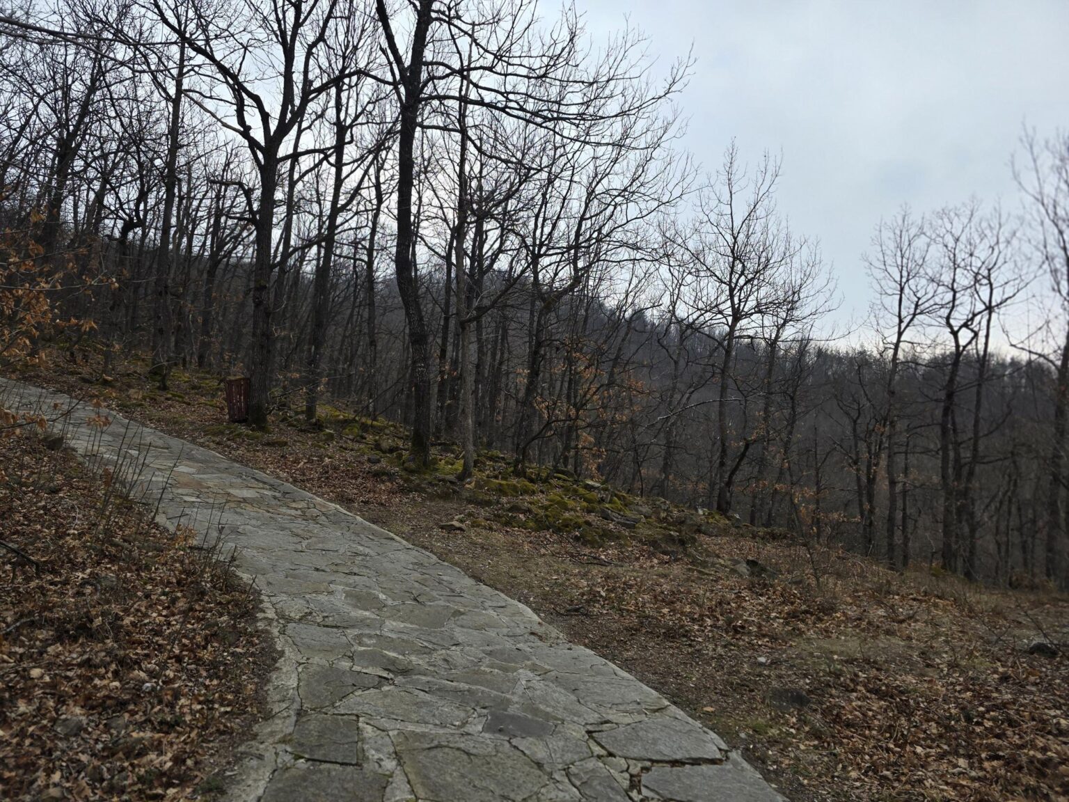 From Sofia to Bozhenishki Urvich: History, Nature and a Bit of Sweat