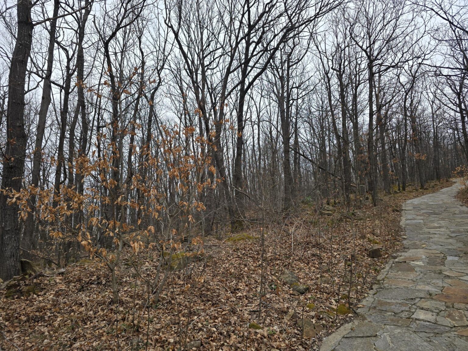 From Sofia to Bozhenishki Urvich: History, Nature and a Bit of Sweat