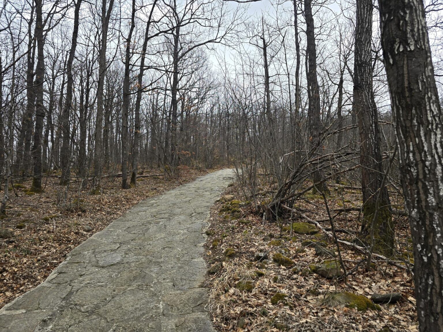 From Sofia to Bozhenishki Urvich: History, Nature and a Bit of Sweat