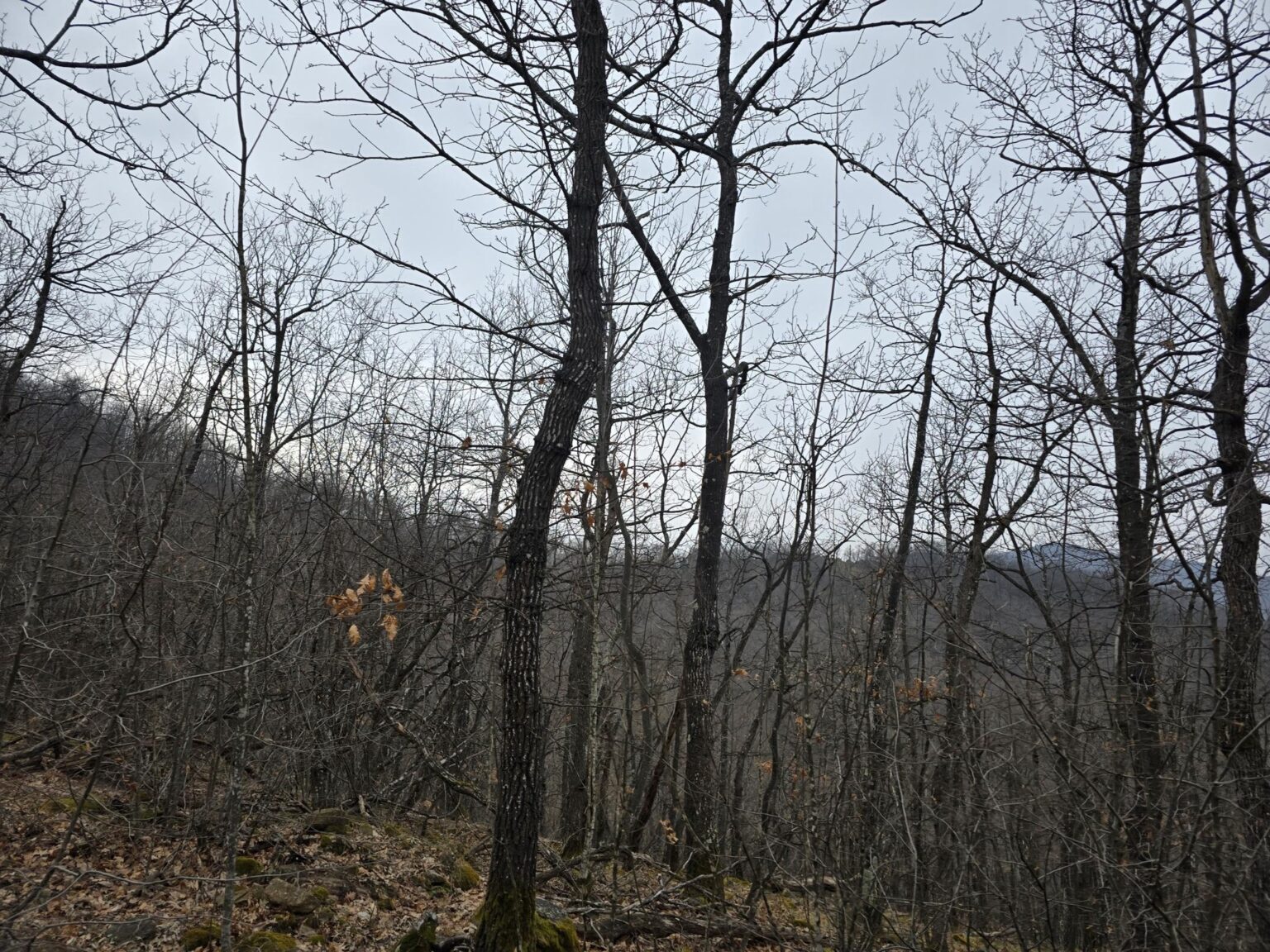 From Sofia to Bozhenishki Urvich: History, Nature and a Bit of Sweat