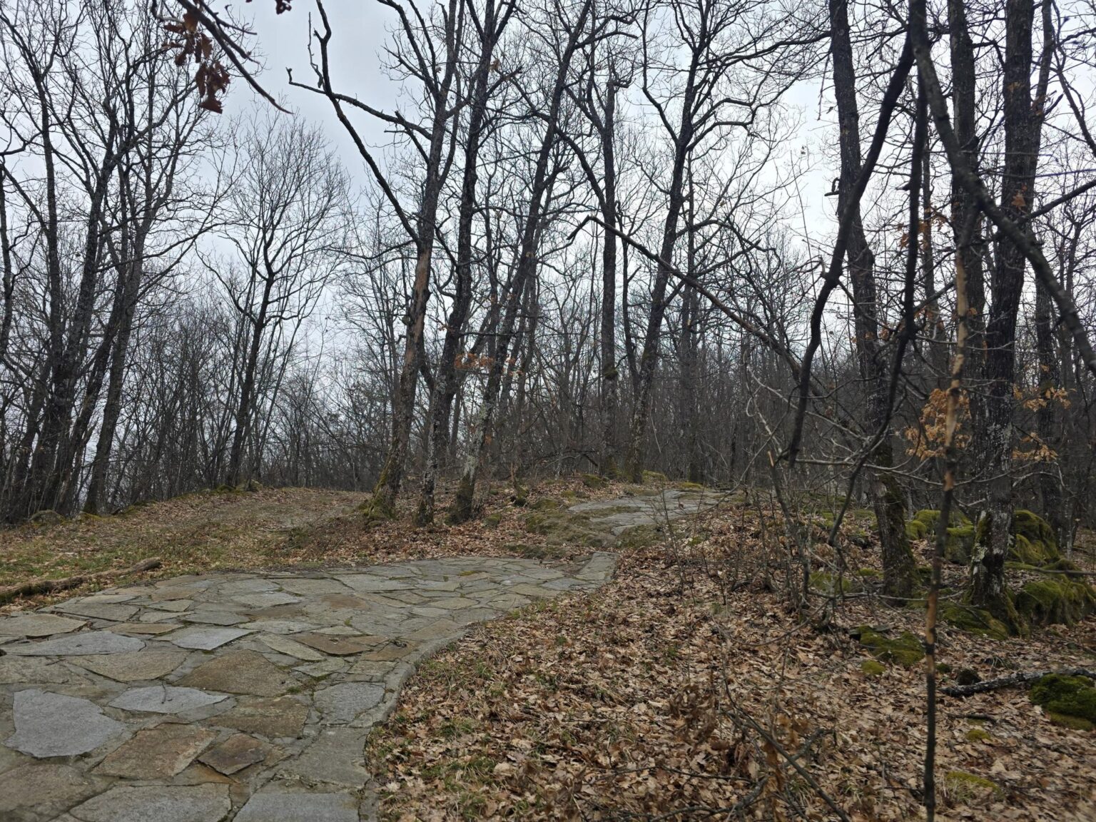 From Sofia to Bozhenishki Urvich: History, Nature and a Bit of Sweat