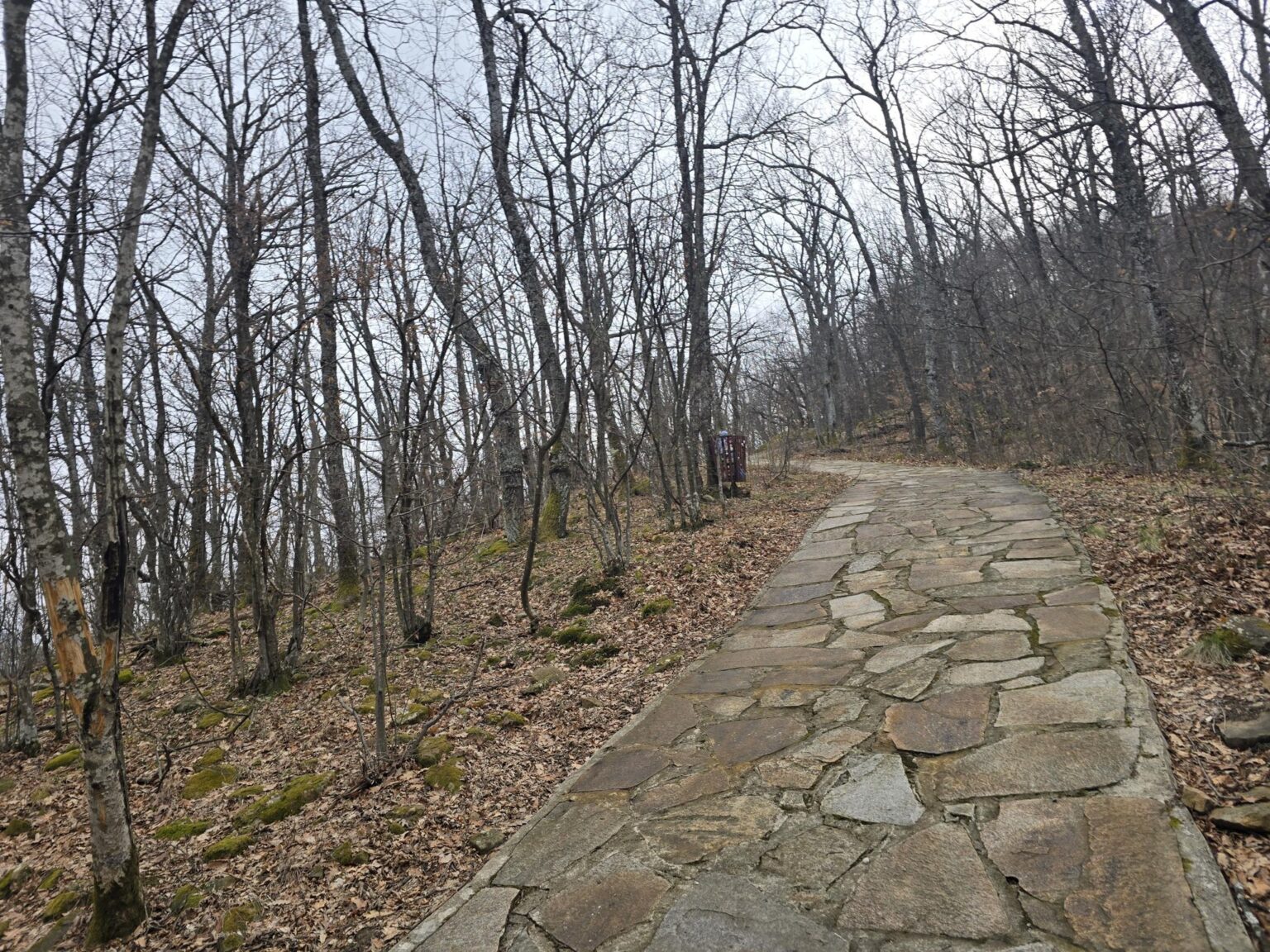 From Sofia to Bozhenishki Urvich: History, Nature and a Bit of Sweat