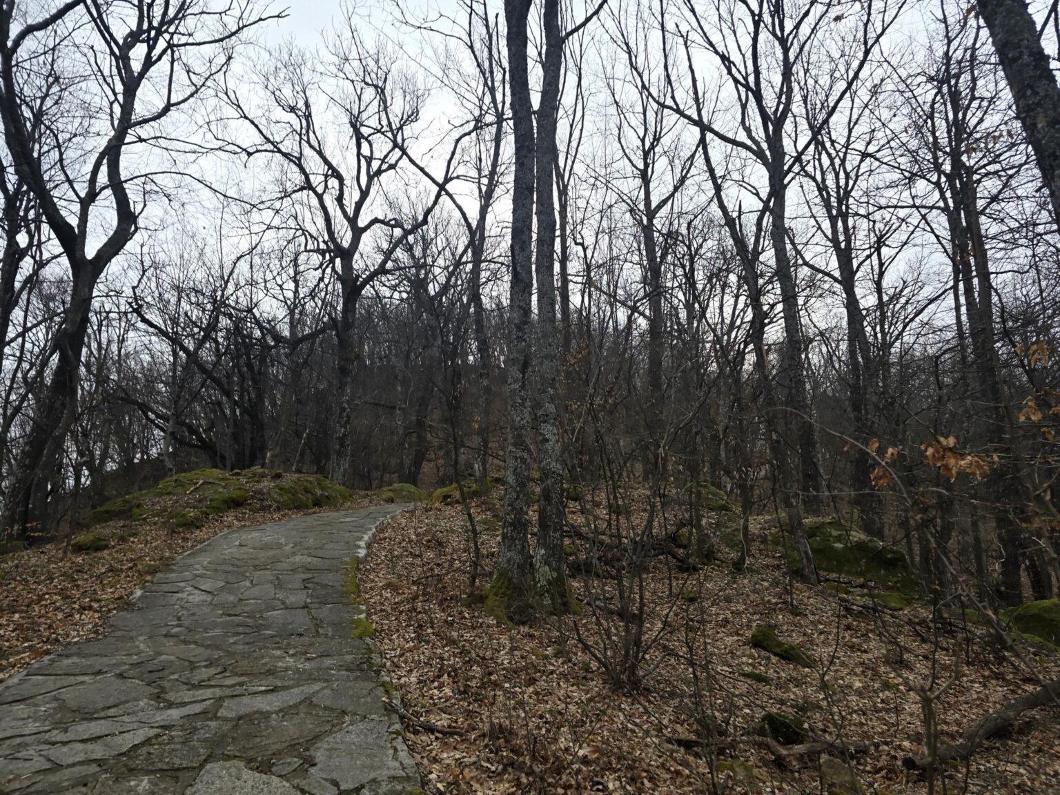 From Sofia to Bozhenishki Urvich: History, Nature and a Bit of Sweat