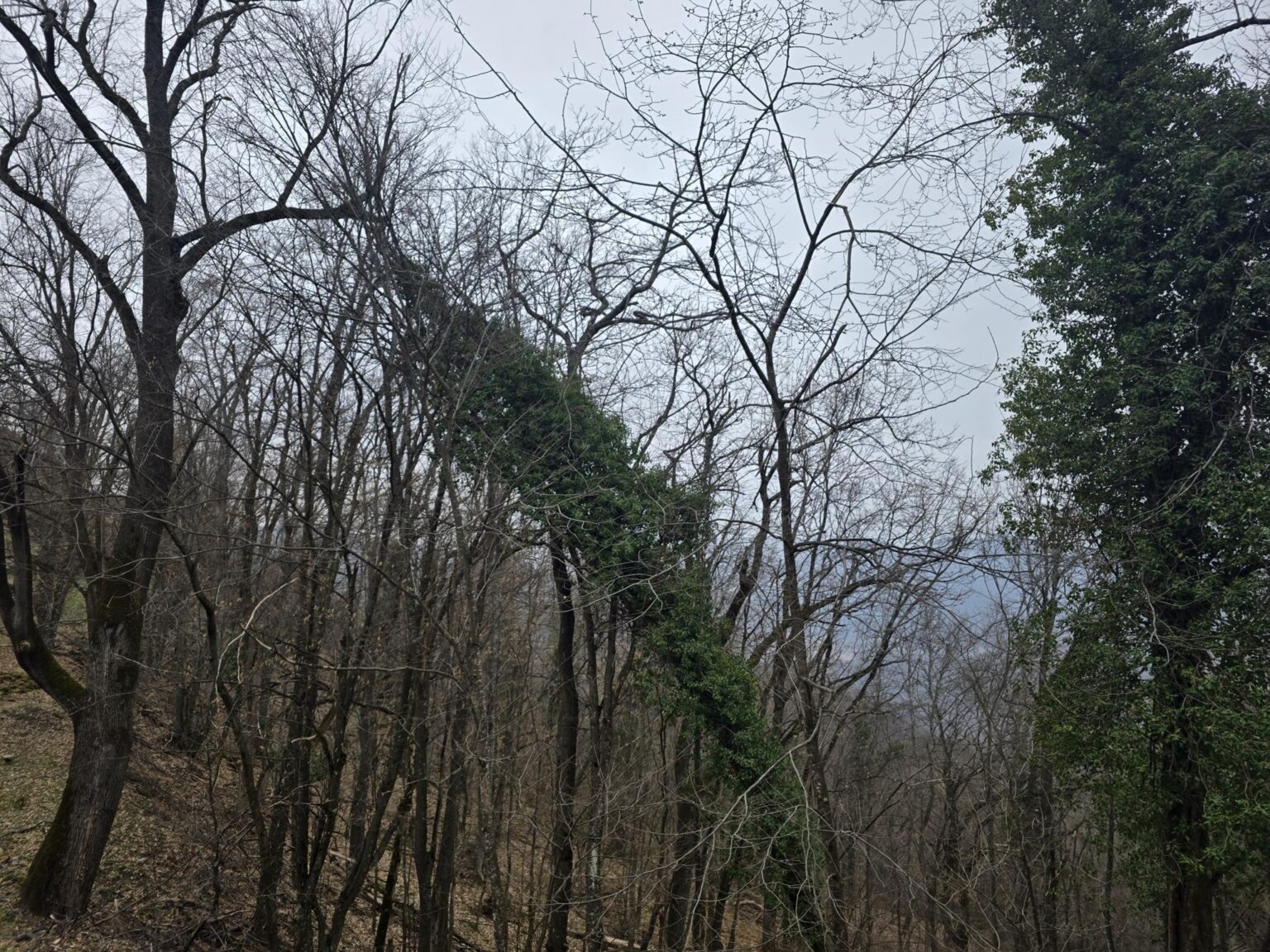 From Sofia to Bozhenishki Urvich: History, Nature and a Bit of Sweat