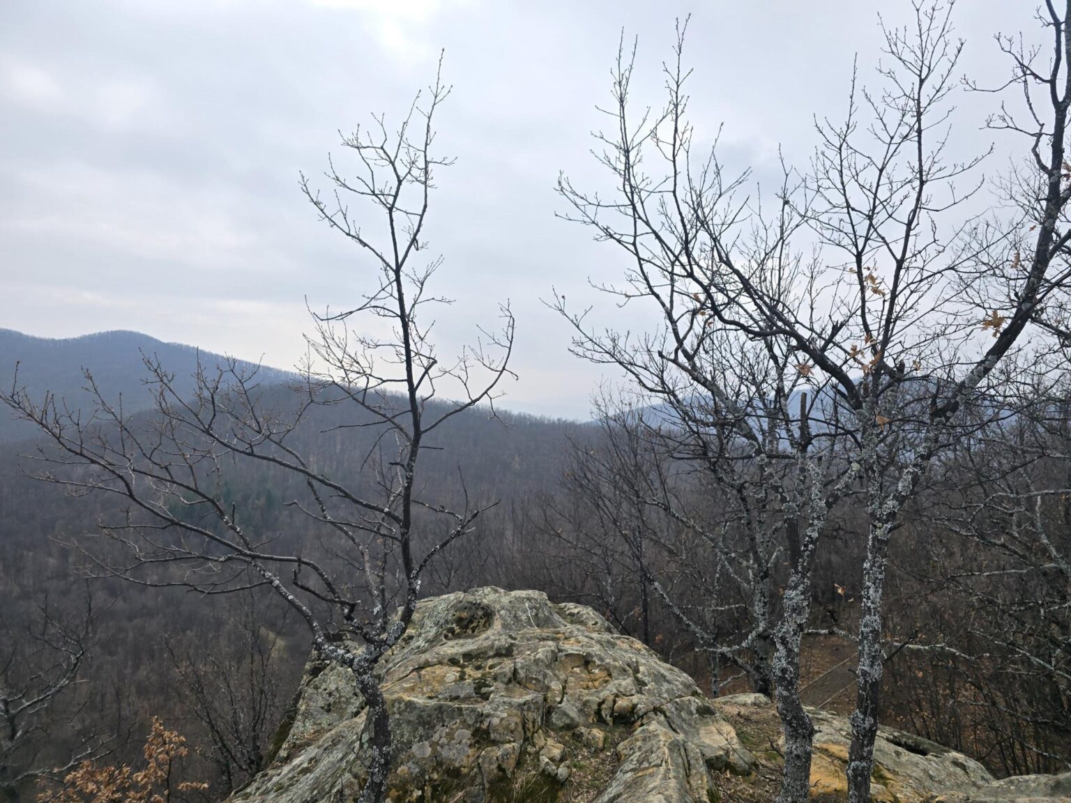 From Sofia to Bozhenishki Urvich: History, Nature and a Bit of Sweat