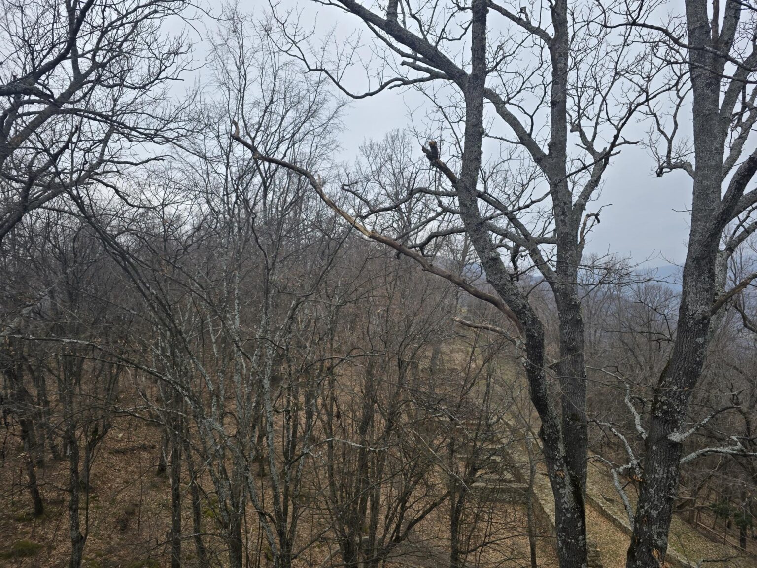 From Sofia to Bozhenishki Urvich: History, Nature and a Bit of Sweat