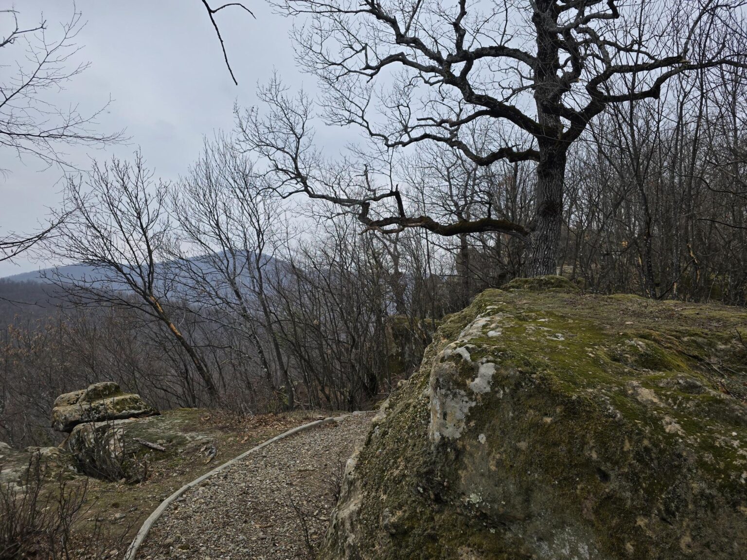 From Sofia to Bozhenishki Urvich: History, Nature and a Bit of Sweat