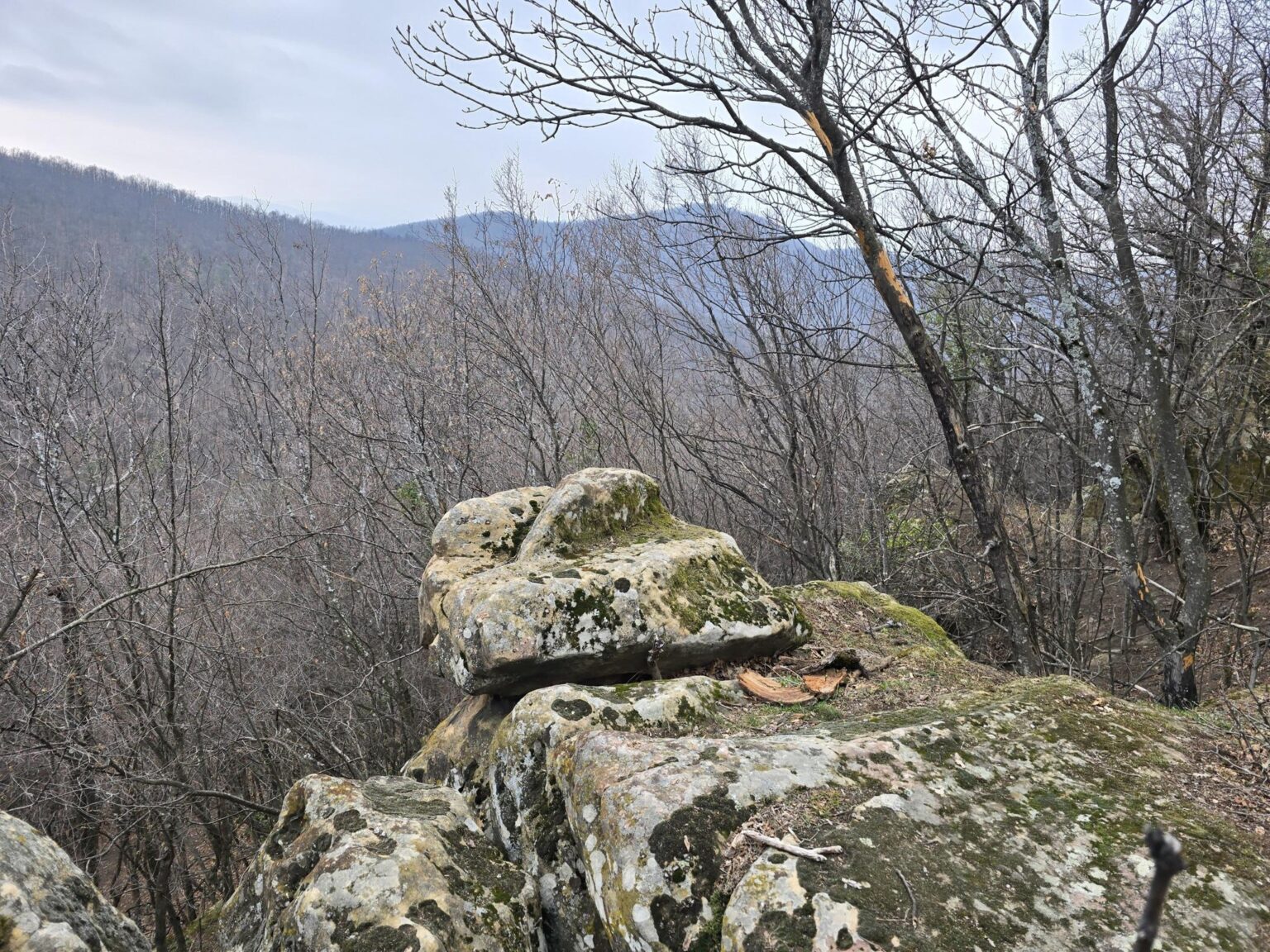 From Sofia to Bozhenishki Urvich: History, Nature and a Bit of Sweat