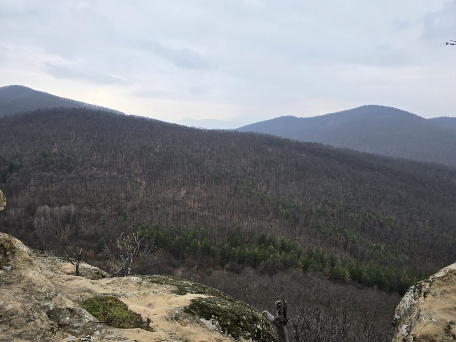 From Sofia to Bozhenishki Urvich: History, Nature and a Bit of Sweat