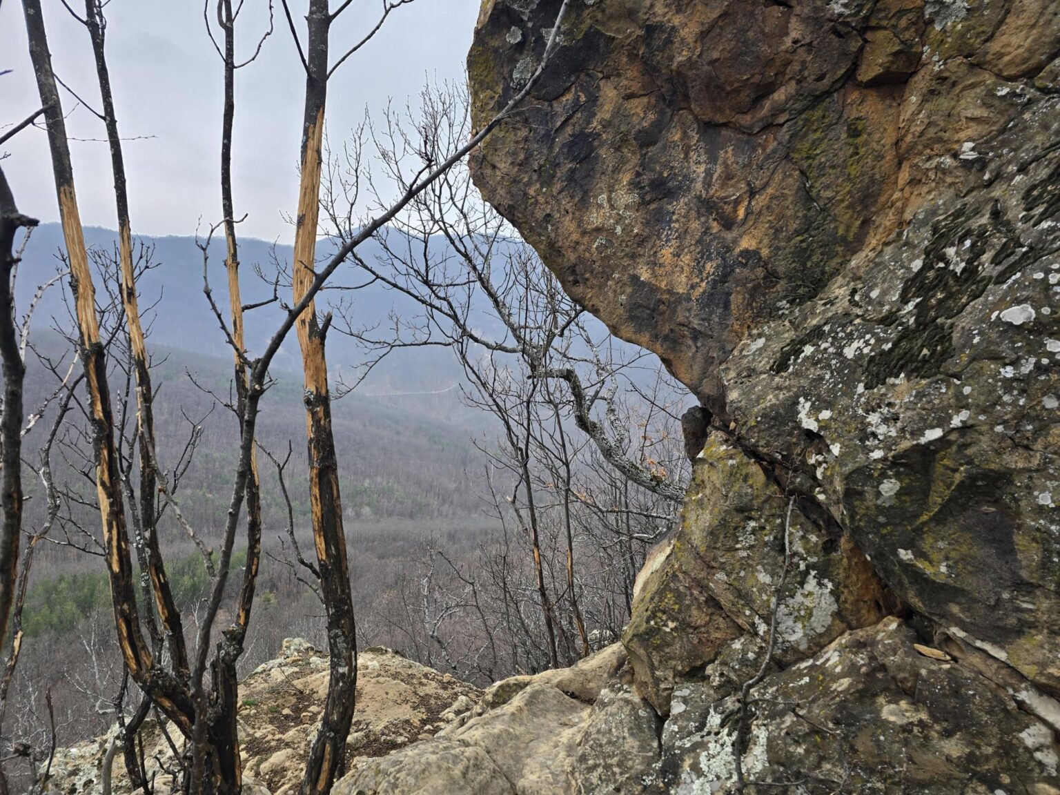 From Sofia to Bozhenishki Urvich: History, Nature and a Bit of Sweat