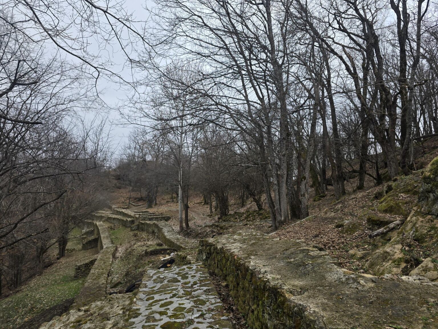 From Sofia to Bozhenishki Urvich: History, Nature and a Bit of Sweat