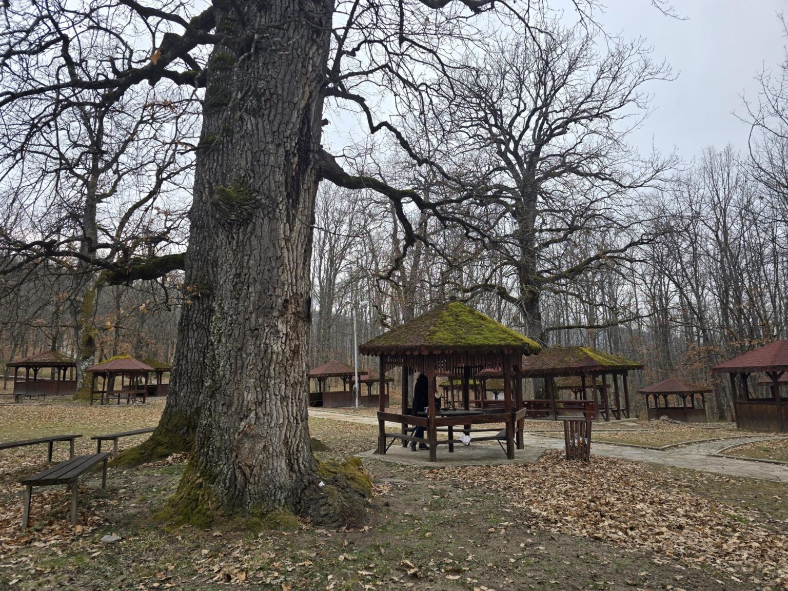 From Sofia to Bozhenishki Urvich: History, Nature and a Bit of Sweat