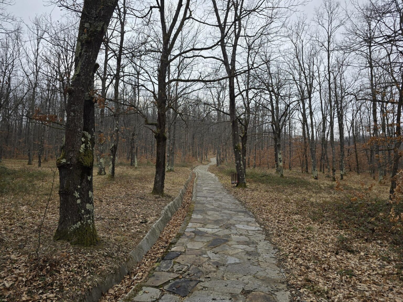 From Sofia to Bozhenishki Urvich: History, Nature and a Bit of Sweat