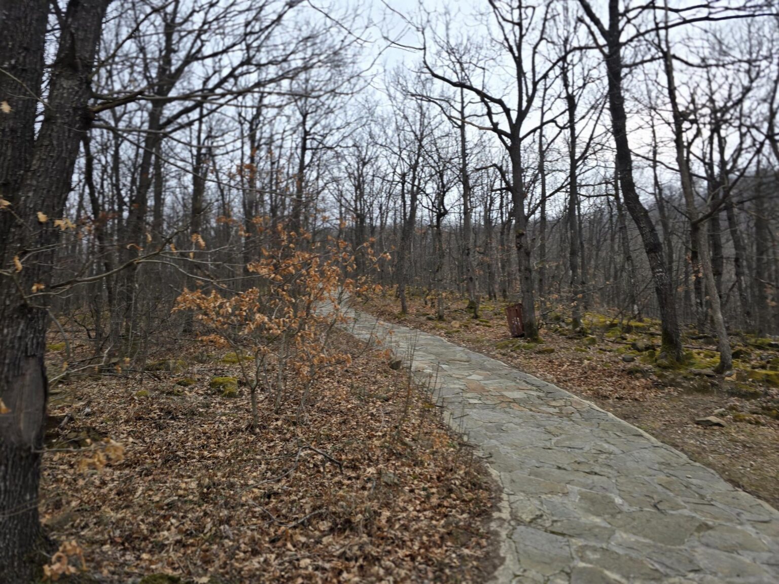 From Sofia to Bozhenishki Urvich: History, Nature and a Bit of Sweat
