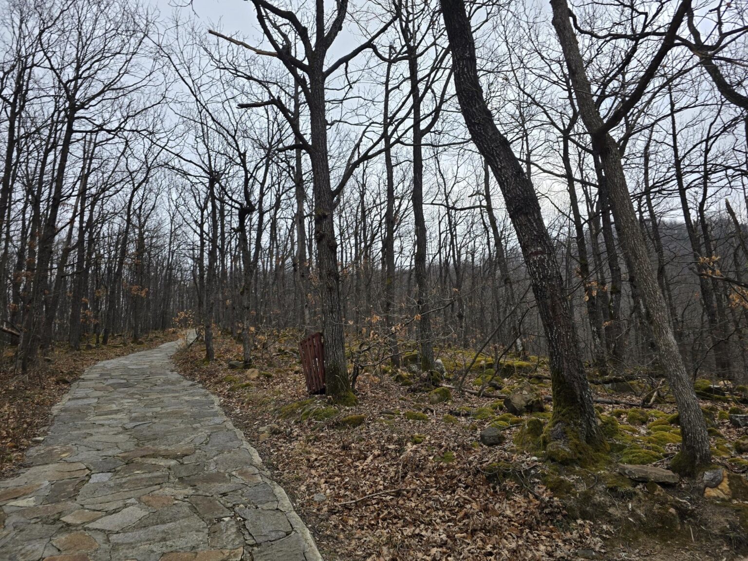From Sofia to Bozhenishki Urvich: History, Nature and a Bit of Sweat
