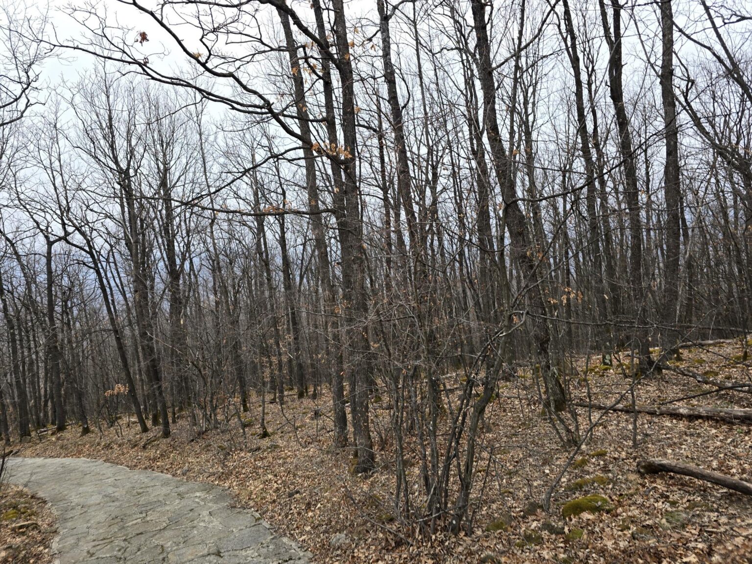 From Sofia to Bozhenishki Urvich: History, Nature and a Bit of Sweat