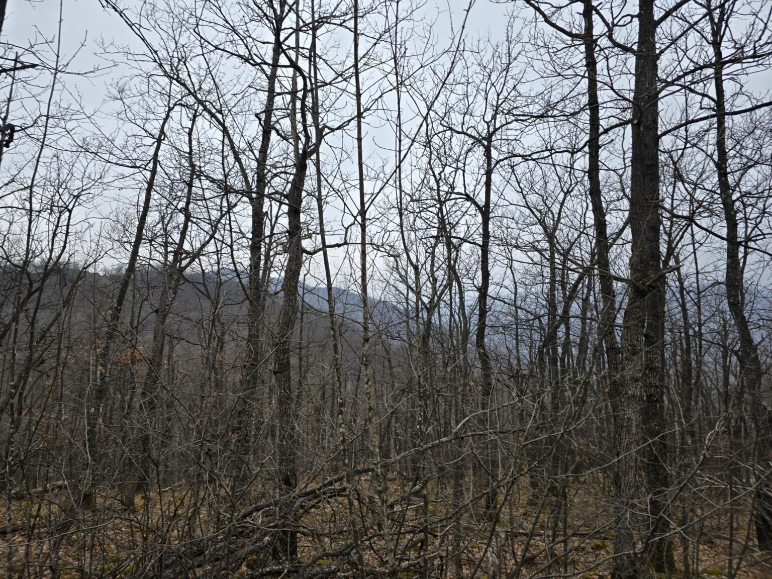 From Sofia to Bozhenishki Urvich: History, Nature and a Bit of Sweat