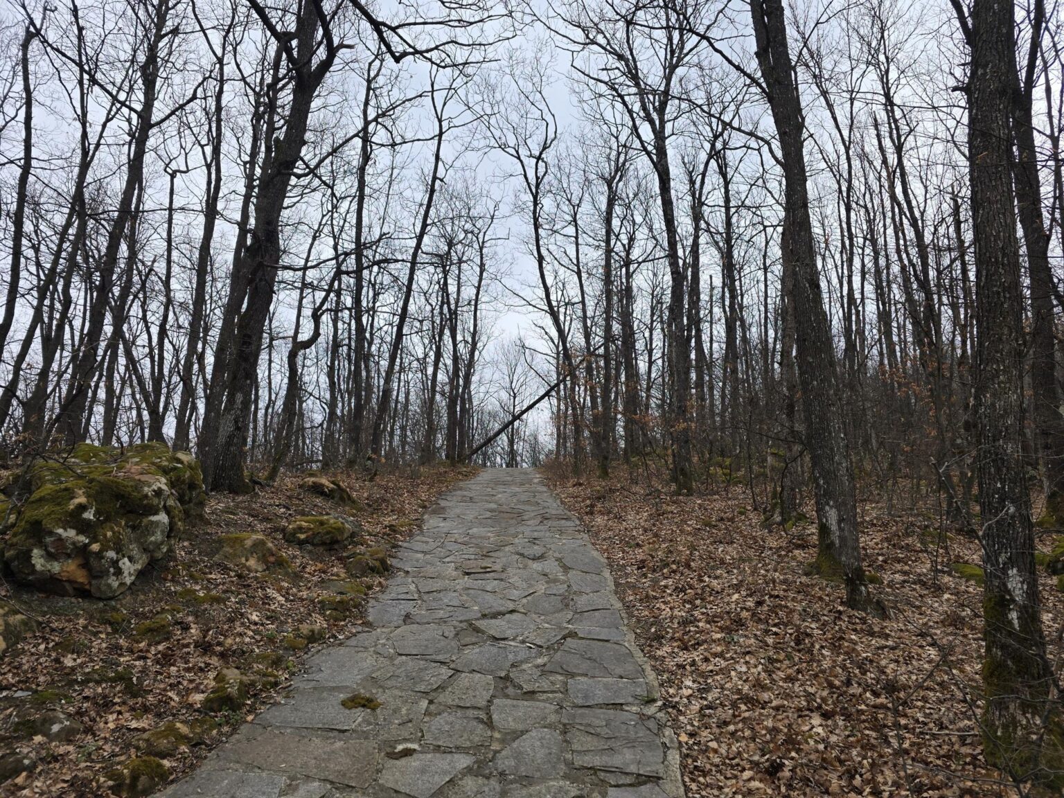 From Sofia to Bozhenishki Urvich: History, Nature and a Bit of Sweat