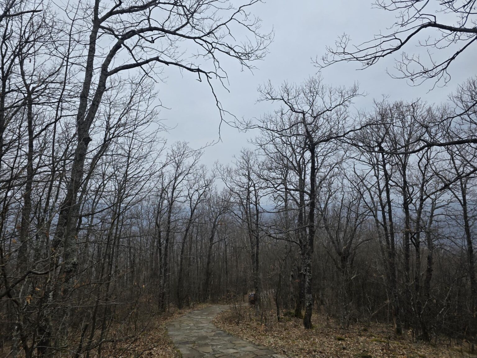 From Sofia to Bozhenishki Urvich: History, Nature and a Bit of Sweat