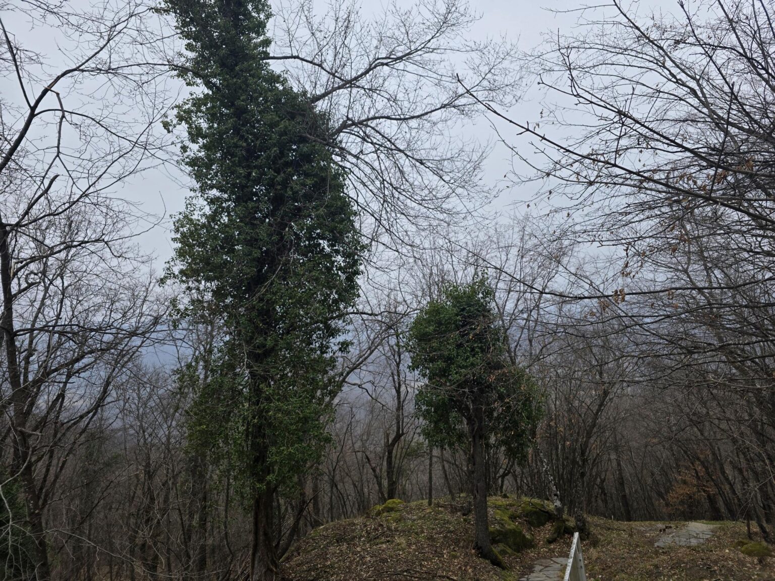 From Sofia to Bozhenishki Urvich: History, Nature and a Bit of Sweat