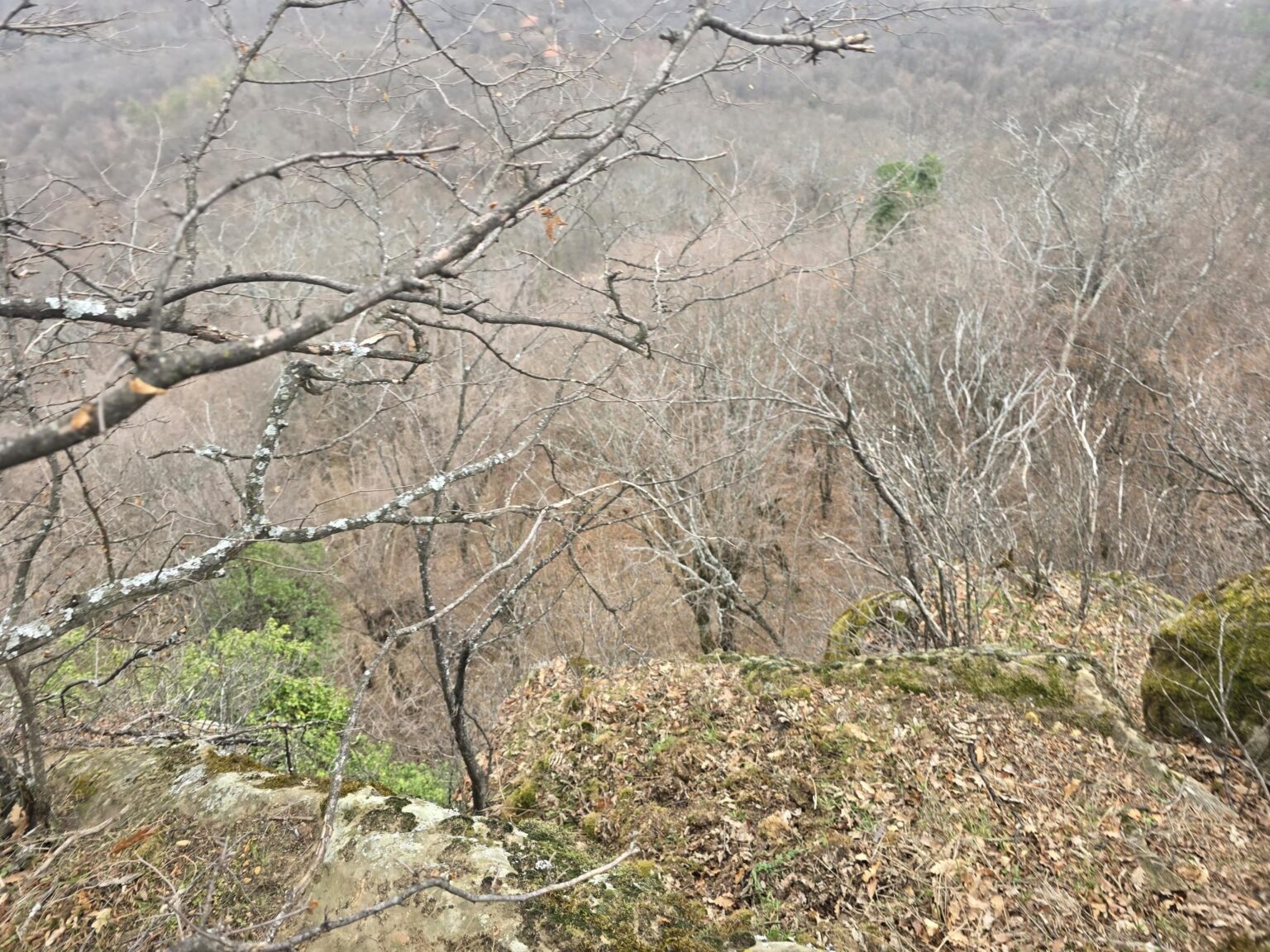 From Sofia to Bozhenishki Urvich: History, Nature and a Bit of Sweat