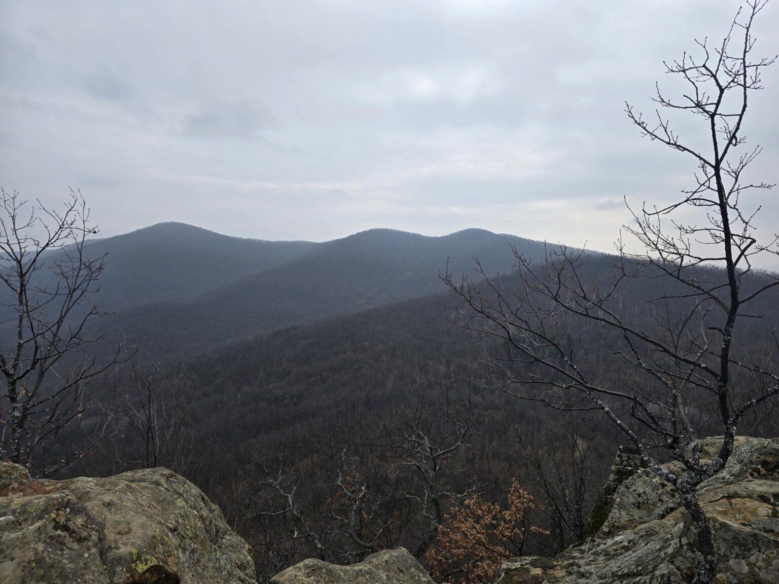 From Sofia to Bozhenishki Urvich: History, Nature and a Bit of Sweat