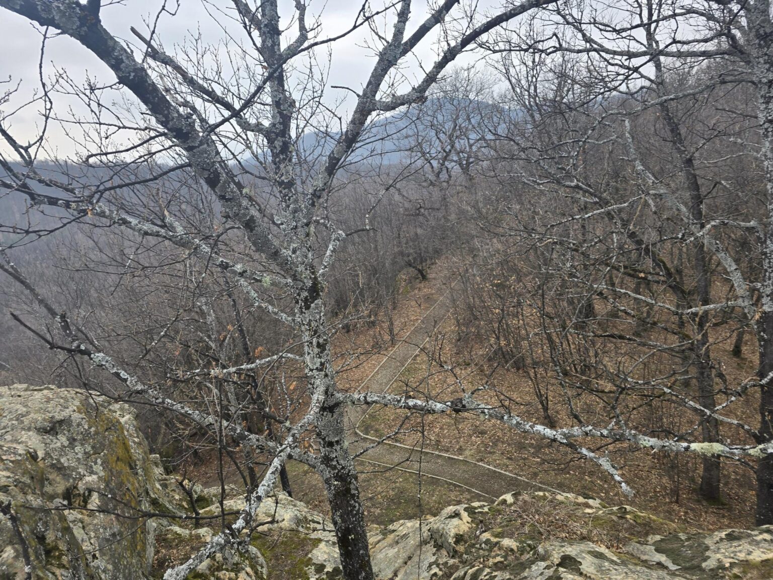 From Sofia to Bozhenishki Urvich: History, Nature and a Bit of Sweat