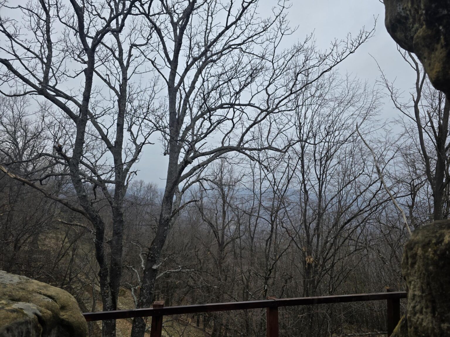From Sofia to Bozhenishki Urvich: History, Nature and a Bit of Sweat