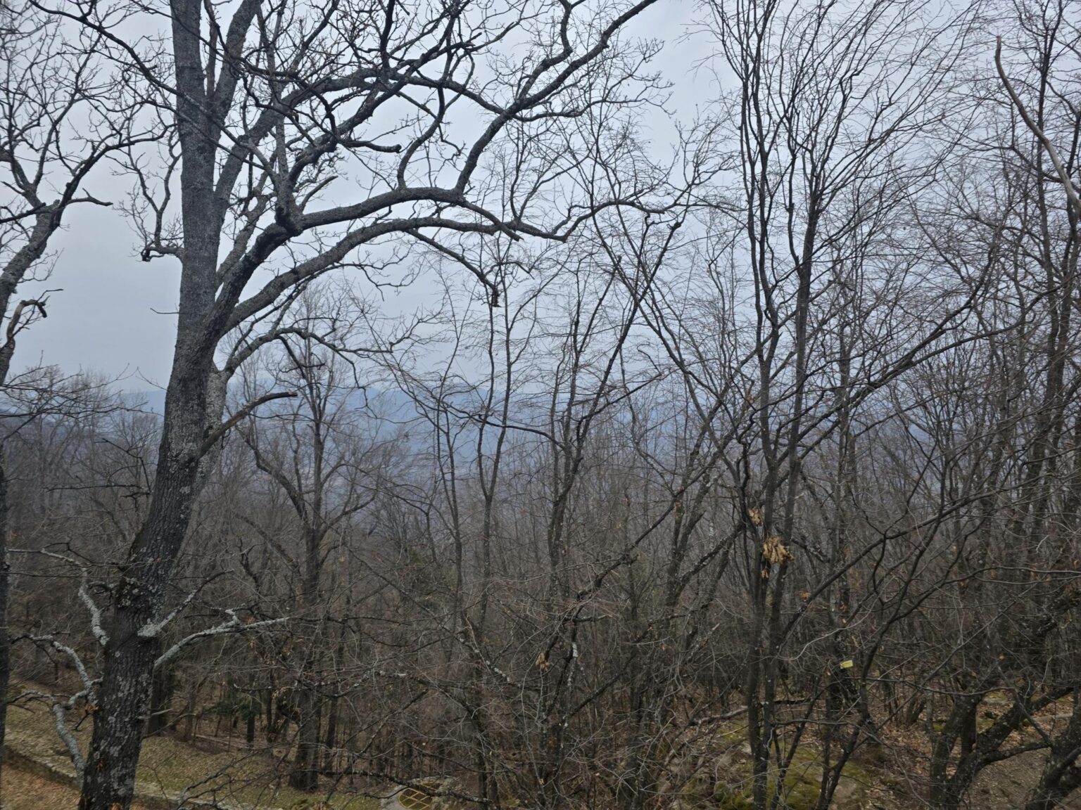 From Sofia to Bozhenishki Urvich: History, Nature and a Bit of Sweat