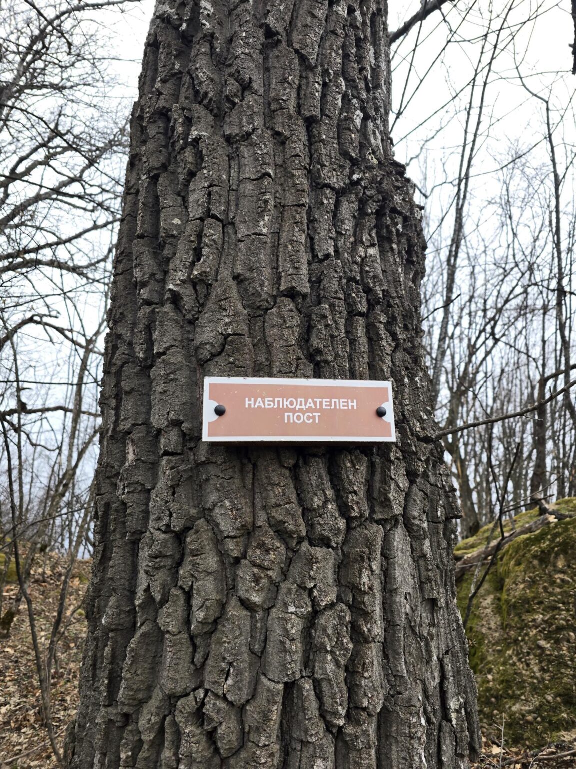 From Sofia to Bozhenishki Urvich: History, Nature and a Bit of Sweat
