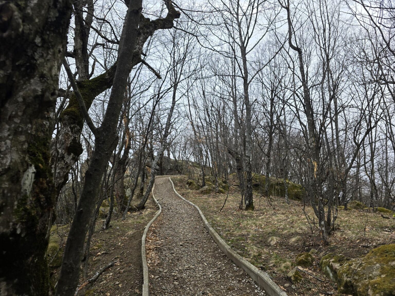From Sofia to Bozhenishki Urvich: History, Nature and a Bit of Sweat