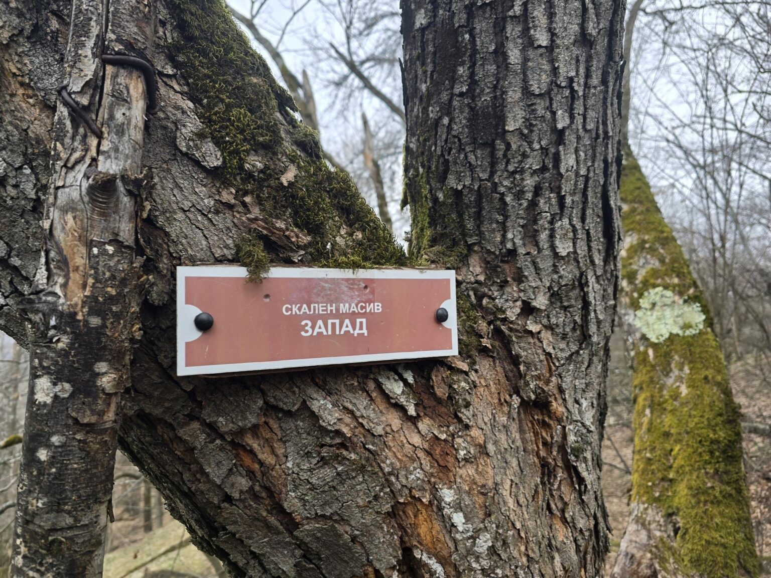 From Sofia to Bozhenishki Urvich: History, Nature and a Bit of Sweat