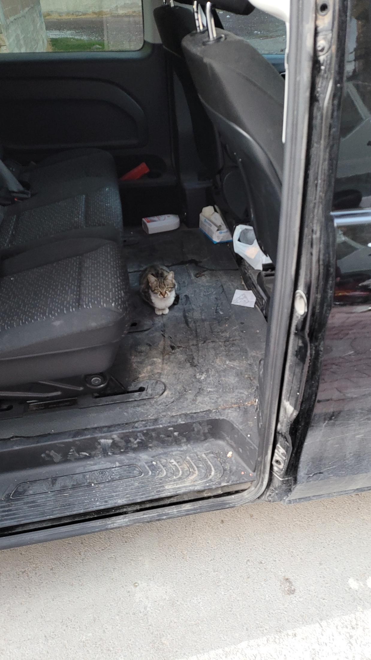 Sultanhanı Caravanserai, Türkiye — 8