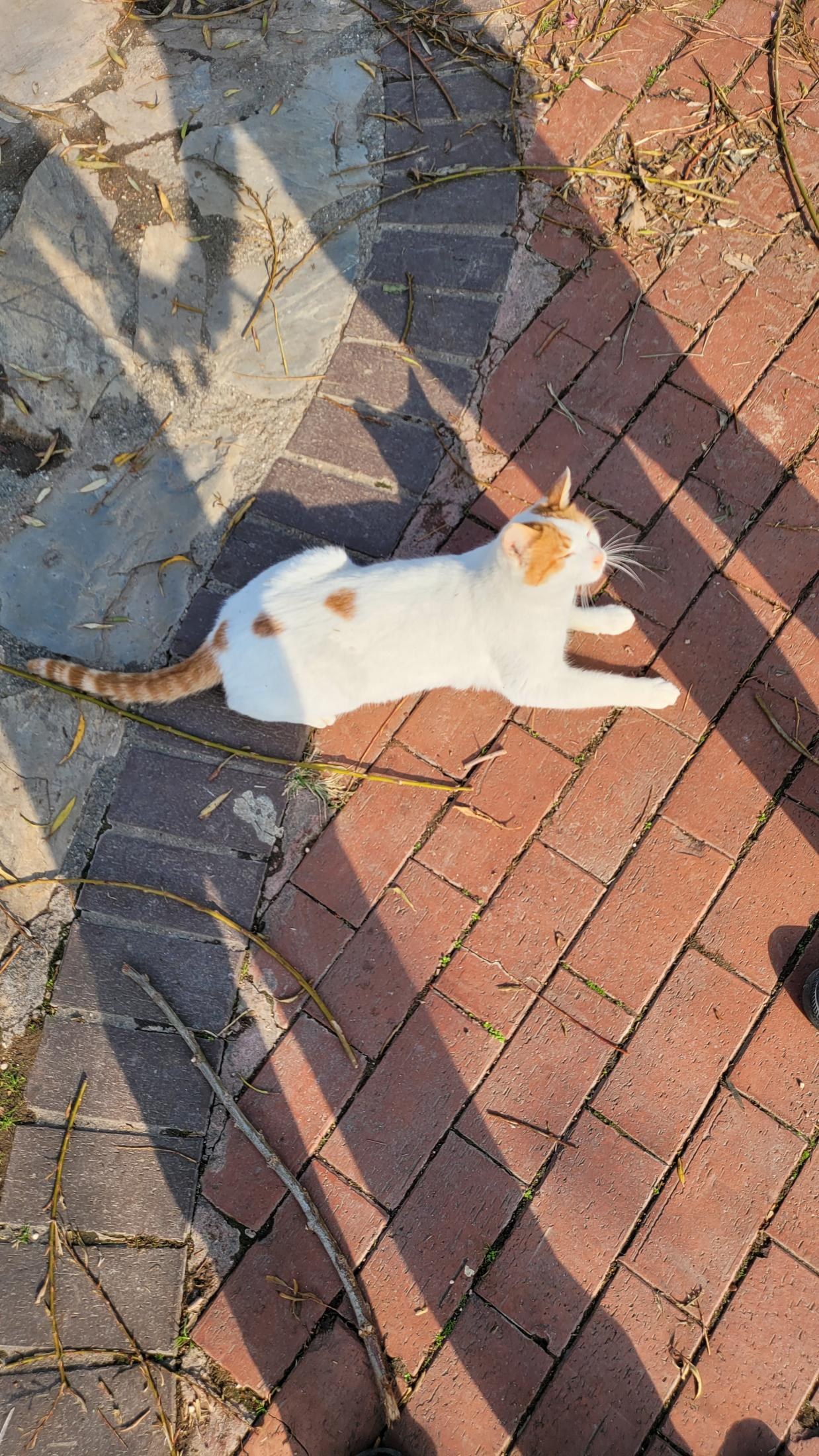 Antalya, Türkiye — 16